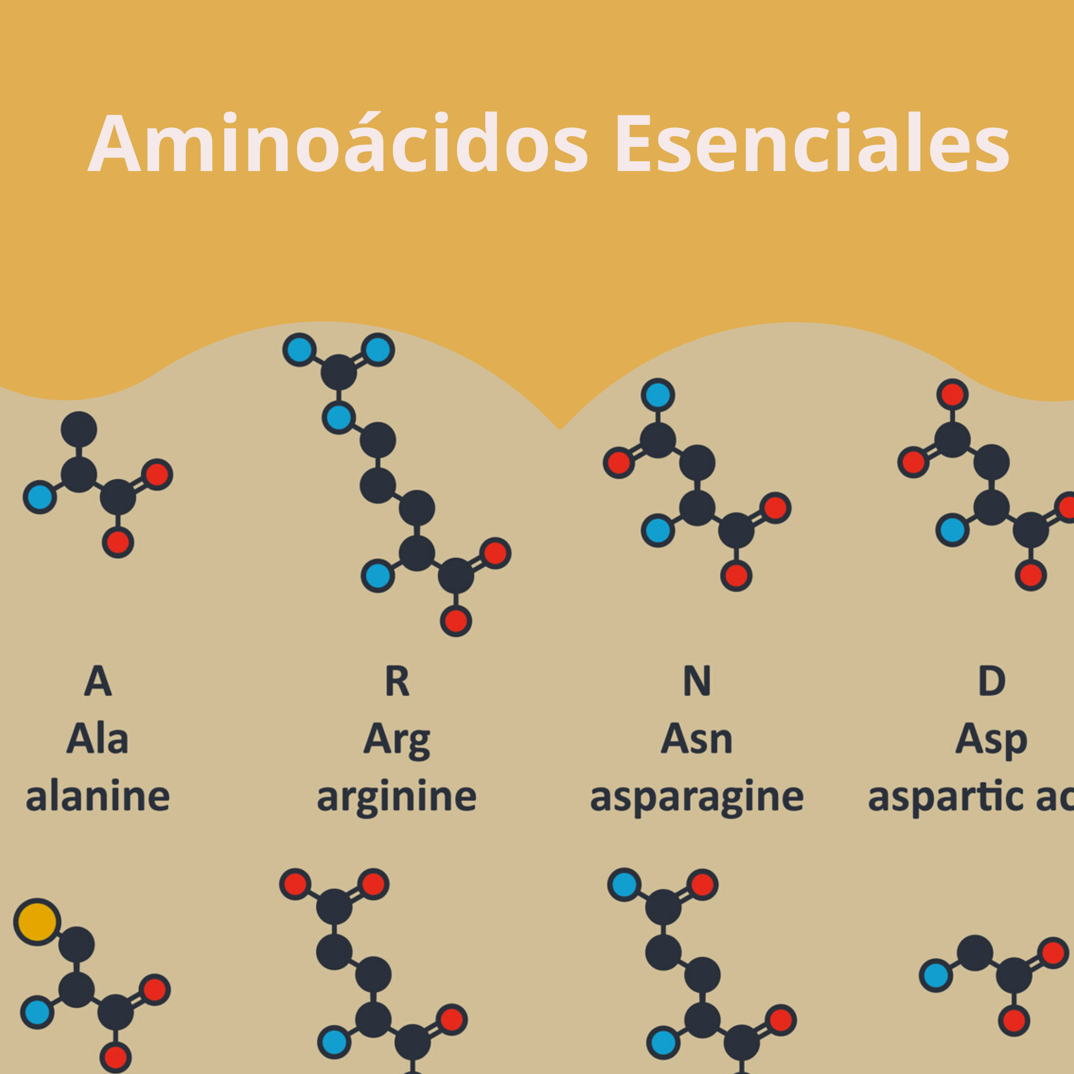 Aminoácidos Esenciales  en México 
