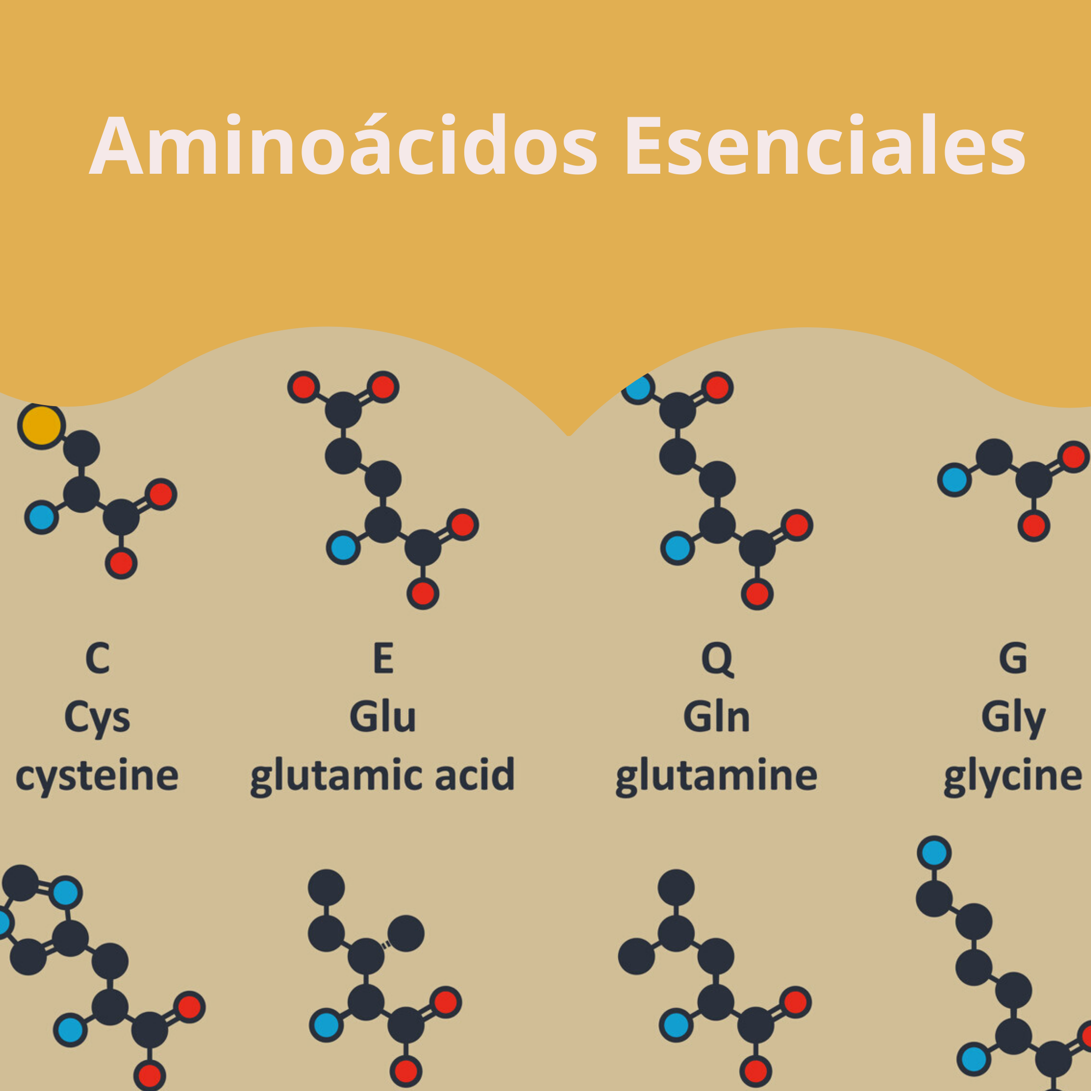 Aminoácidos Esenciales en México Aminoácidos Esenciales en México