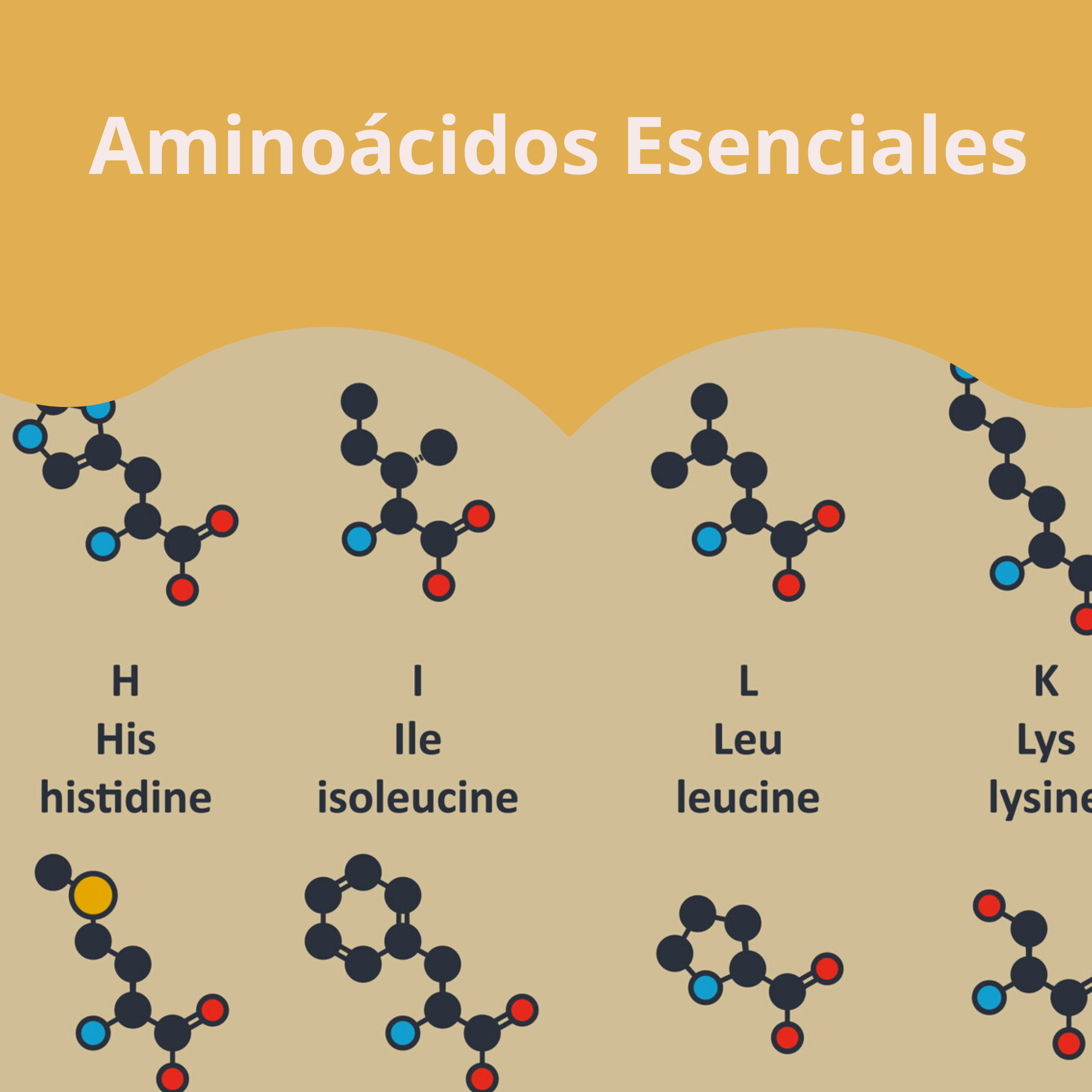 Aminoácidos Esenciales en México Aminoácidos Esenciales en México