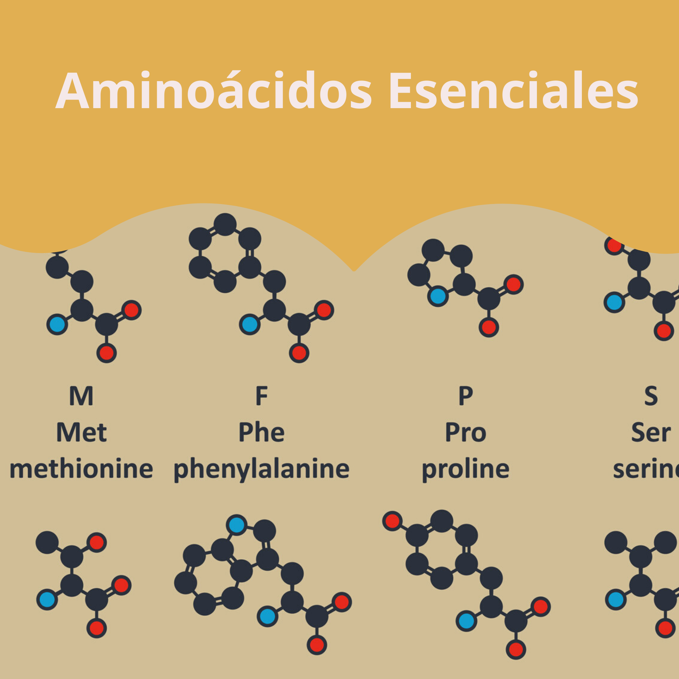 Aminoácidos Esenciales en México Aminoácidos Esenciales en México