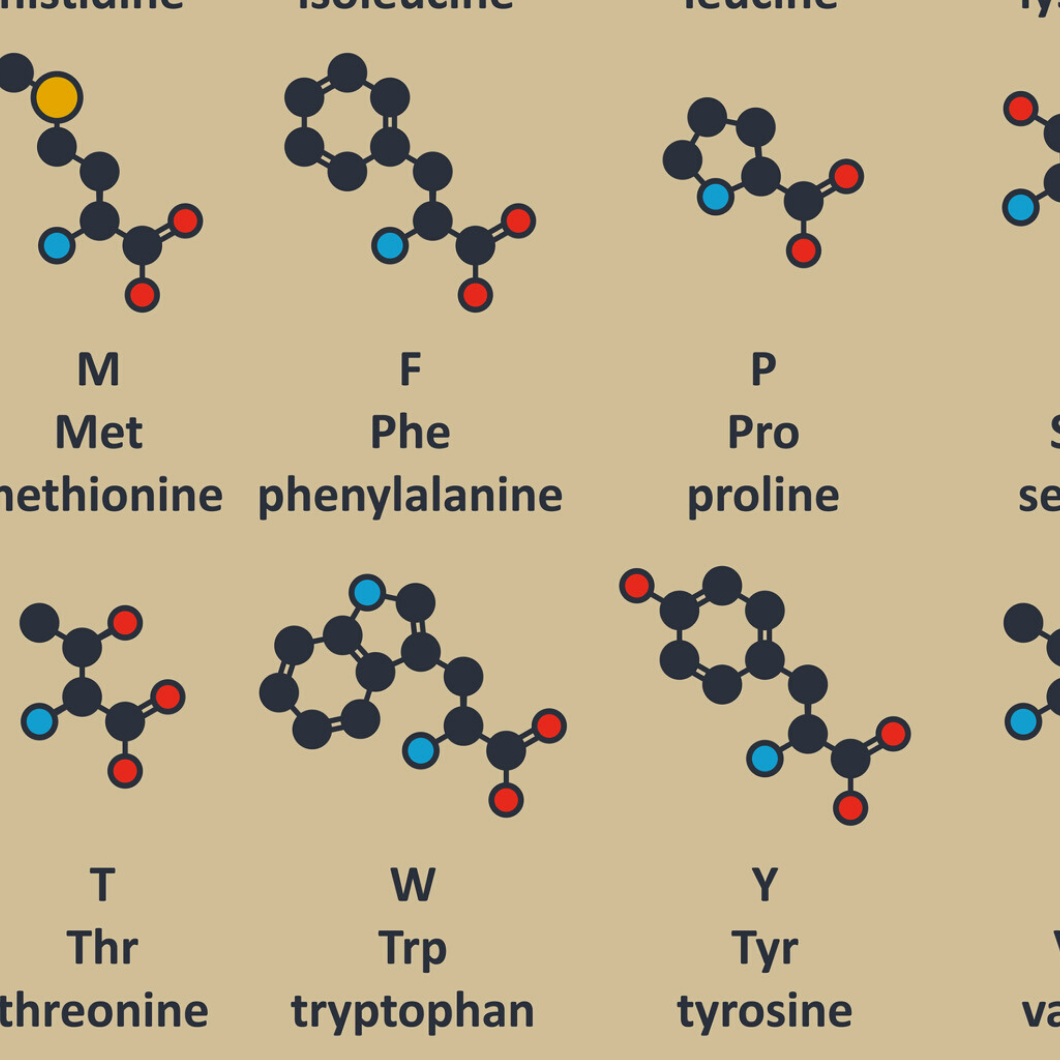 Aminoácidos Esenciales 